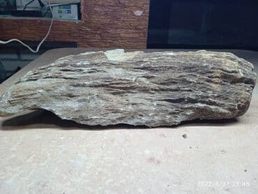 1 грамм серебра в сомах: Камни в аквариум 200с за кг! смотрятся как на фото в аквариуме! На — 10