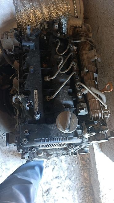 sprinter 2 7: Дизельный мотор Kia 2018 г., 1.6 л, Б/у, Оригинал — 2