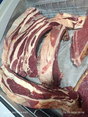 мясо туша: Конина : 10 кг — 10