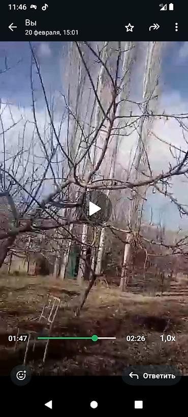 открытки: Бак путайбыз. Обрезка деревьев.Строго звонить или вотсап — 1