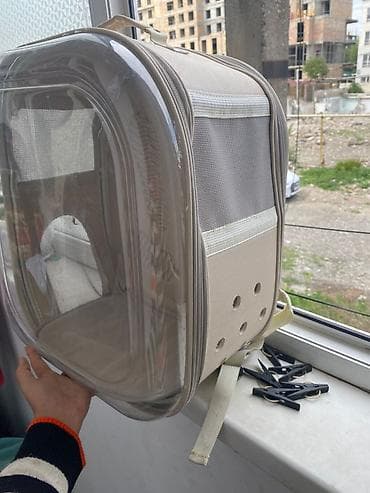 купить животных в бишкеке: ​🐱 Стартовый набор для котика: Переноска-рюкзак + Лоток + Аксессуары — 3