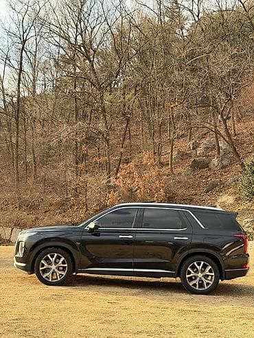 stage 3: Hyundai Palisade: 2019 г., 2.2 л, Автомат, Дизель, Кроссовер — 3