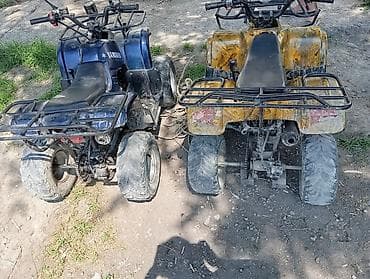 rf 2: Квадроцикл Yamaha, Бензин, 130 куб. см — 2