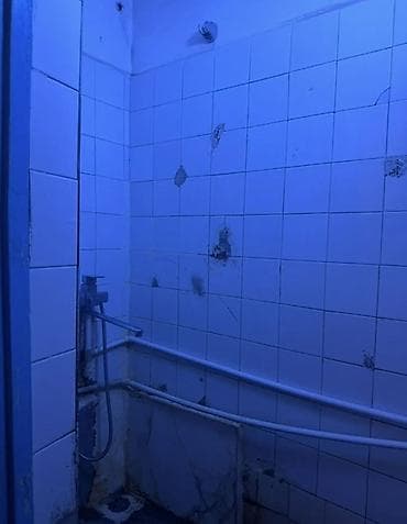 17 м², С мебелью, Без мебели — 5