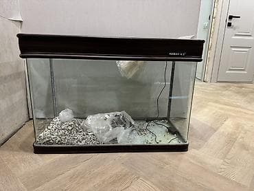 Аквариум HAIBAO с крышкой 120литров С подставкой ! С комплектом