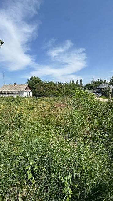 15 соток, Курулуш, Кызыл китеп — 7