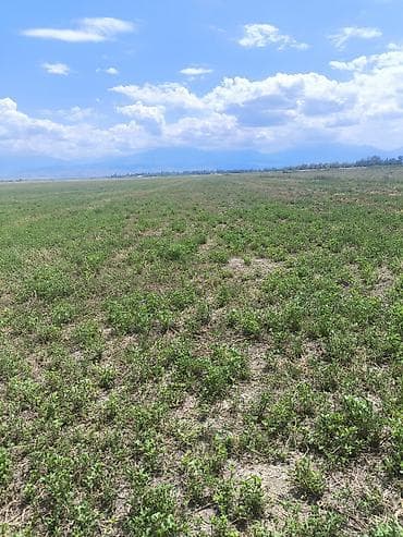 Кыймылсыз мүлк: 8300 соток Айыл чарба үчүн — 3