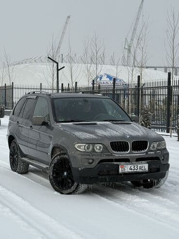 BMW X5: 2005 г., 3 л, Автомат, Дизель, Кроссовер