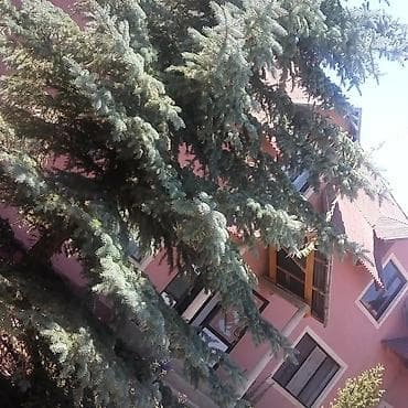 Ысык-Көлдө мейманканалар: Ысык-Көлдө мейманкана, Тамчы — 1