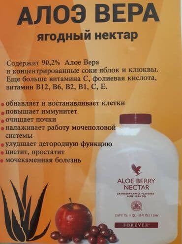 Прокат одежды: Алоэ Вера Барбаденсис улучшает пищеварение Питает каждую клеточку — 3