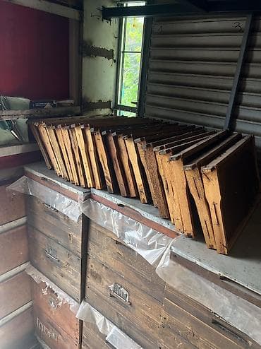 Өндүрүш үчүн жабдуулар: Продаю пчелиные рамки Рута. Есть как сушь, так и немного медовых (мёда — 2