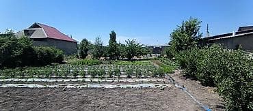 вагон токмок: 5 соток — 1