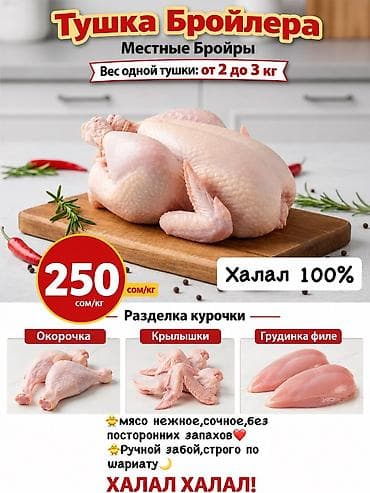🐥Куры Бройлеры (250сом/кг) 🐥Домашние(бульонные) куры (290сом/кг)