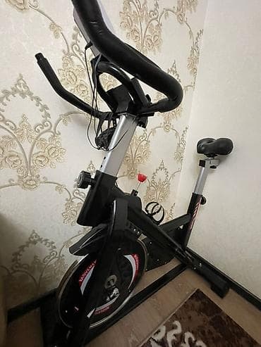 Спин-байк (велотренажёр) для домашних тренировок - Тип: механический