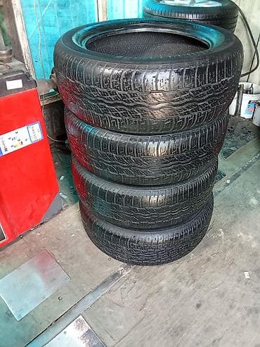 pirelli p zero: Шины 235 / 55 / R 18, Лето, Б/у, Комплект, Внедорожные (АТ/МТ), Япония, Bridgestone — 3
