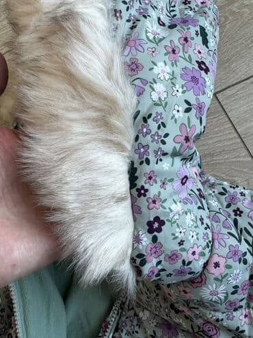 комбинезон зимний для новорожденных на овчине: Продаю новые фирменные комбинезоны известных европейских брендов. Все — 10