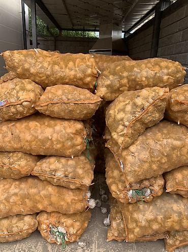 Продукты питания: Чеснок Оптом, Самовывоз, Платная доставка — 4