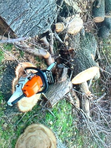 угол дрова: По беловодску пилю деревья распил на части,рублю дрова,заготовка дров — 6