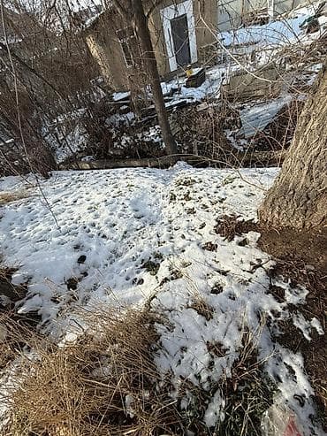 участок в тюпе: 6 соток, Для сельского хозяйства, Красная книга, Тех паспорт, Договор купли-продажи — 3