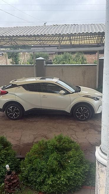 тойота кро: Toyota C-HR: 2019 г., 2 л, Автомат, Бензин, Кроссовер — 1