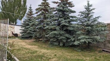 контейнер дом бишкек: Үй, 100 кв. м, 10 бөлмө, Менчик ээси — 12