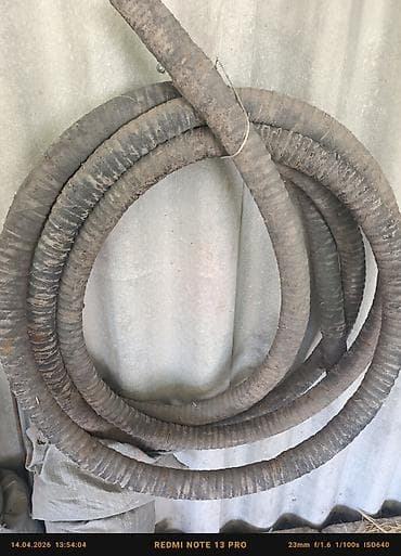 Шланг для полива at lalafo.kg Шланг для полива