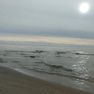 полевная земля: 8 соток, Для строительства, Красная книга — 2