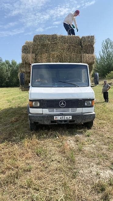 Жеңил жүк ташуучу унаа, Mercedes-Benz, Стандарт, Колдонулган — 3