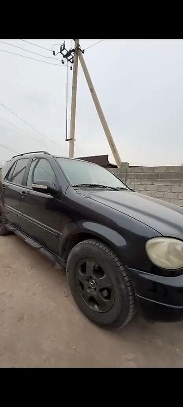 Mercedes-Benz ML-Class: 2003 г., 3.2 л, Автомат, Бензин, Кроссовер — 8