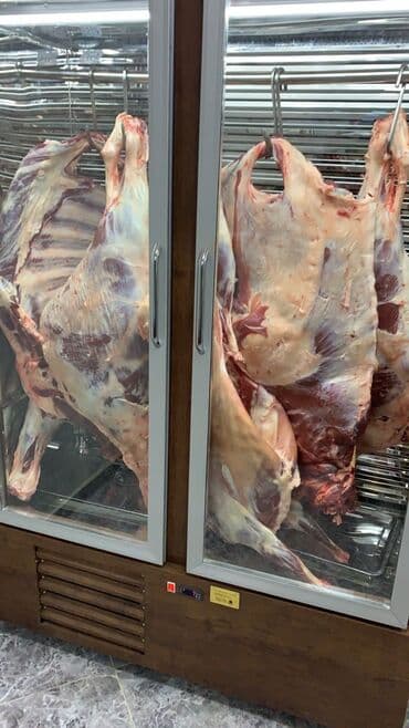 холодильники для мяса: Для мяса, мясных изделий, Кыргызстан, Новый — 2