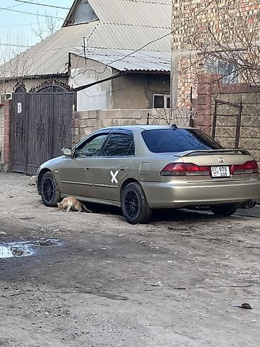 омортизаторы: Honda Accord: 2001 г., 2.3 л, Автомат, Бензин, Седан — 1