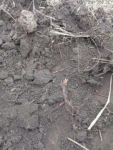 Дрова: Перегной чорнозём горный — 4