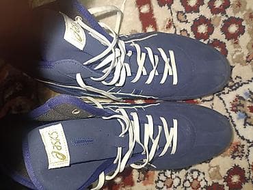 Мужские кроссовки, 44, Asics, Новый, цвет - Синий