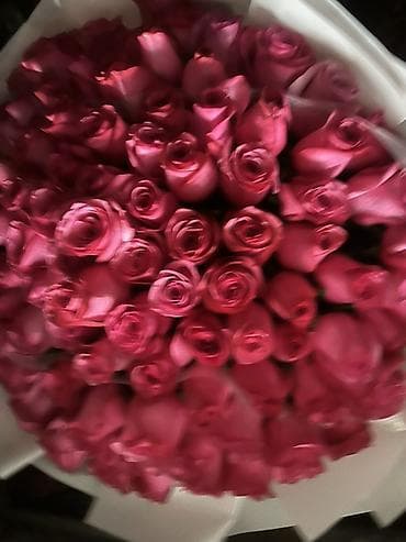 вывоз мусора кара балта: Клининг делаем уборку
И мужские работы — 1