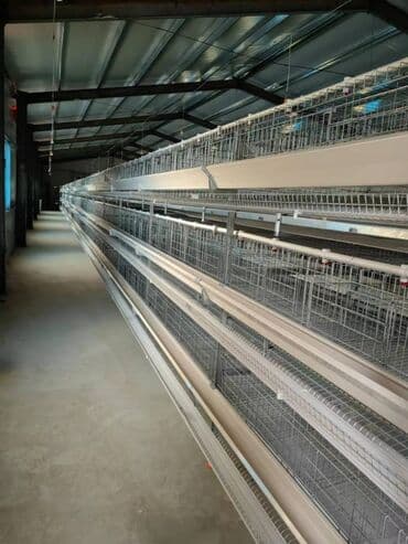 купить измельчитель травы и сена: Кормушка на клетки кур-несушек, пластиковая, длина 2м — 3