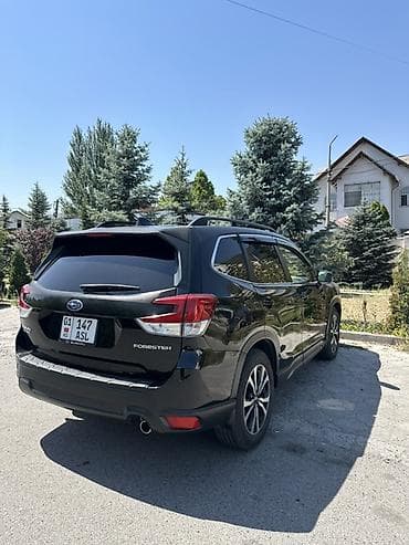 forester 2004: Subaru Forester: 2019 г., 2.5 л, Автомат, Бензин, Кроссовер — 6