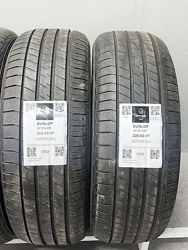 делика булка: Шины 225 / 60 / R 17, Лето, Комплект, Легковые, Япония, Dunlop — 2