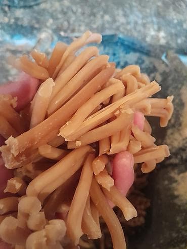 купить стулья бишкек: Самынга даяр сырье сатылат оптом Жыты жок, катуу, 72%, эзилбейт — 3