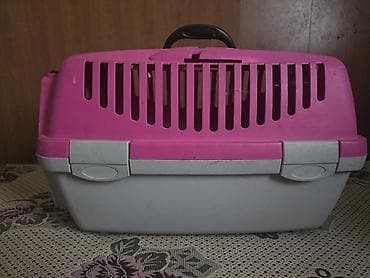 Услуги ветеринара: Переноска для кошек и мелких собак - Тип: жесткая пластиковая — 1