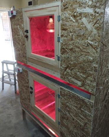 павлин голуби: Брудер 2х этажный для всех видов птиц на заказ — 2