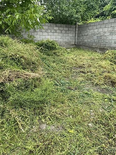 Клининговые услуги: Уборка территории, Уборка двора и сада — 6
