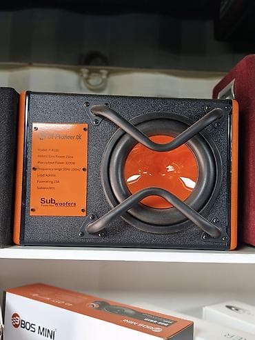 Сабвуфер DV-Pioneer.ok P-B108 в корпусе - Модель: P-B108 (серия Sub