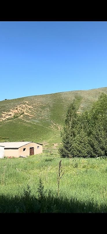 продается дом первая линия: Кошара, 50000 соток, Действующий, С оборудованием, Электричество, Скважина, Холодная вода — 7