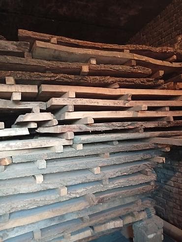крымская сосна цена: Сухой карагач ( доски), цена 25000 сомов за куб.Для столярных изделий — 4