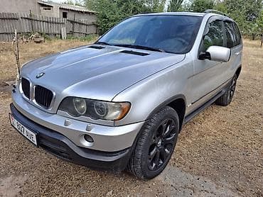 BMW X5: 2002 г., 3 л, Автомат, Дизель, Кроссовер