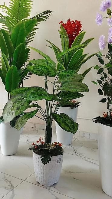 уголь с доставкой бишкек: Искусственные цветочные композиции в кашпо - Большие напольные — 9