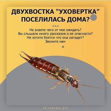 масляный обогреватель цена: Услуги по обслуживанию и ремонту бойлеров. Что делаем: - — 4