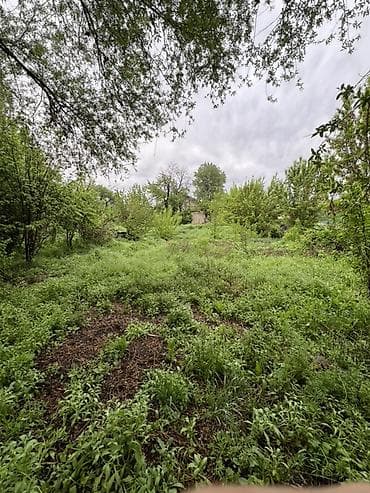 уча: 22 соток, Для бизнеса, Красная книга, Тех паспорт, Договор купли-продажи — 3