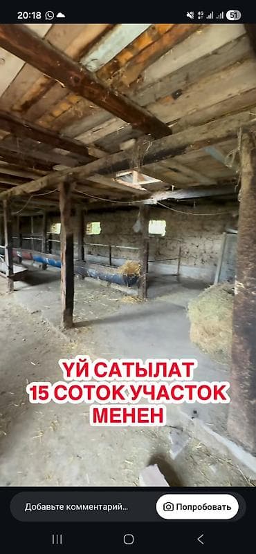 Үйлөр: Шашлыш турдо уй сатылат. Участок 15 соток. Участокто 2 уй бар, чон — 10