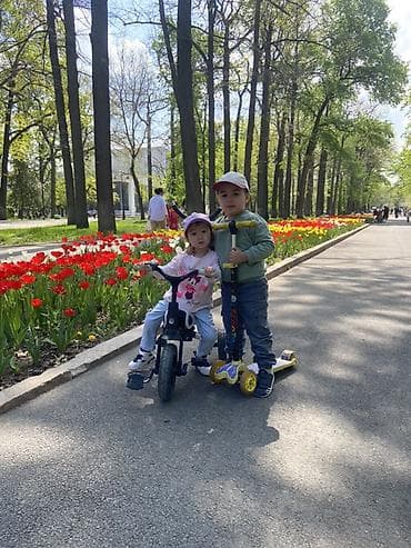 кожаные стельки: Лоферы, 40, 41, Etor, Новый, цвет - Бежевый, Самовывоз — 7